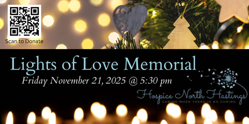 Lights of Love Web Banner 2025